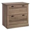 Sauder Barrister Lane Engineered Wood 2-Drawer Lateral File Cabinet Salt Oak 1 Sauder Barrister Lane Engineered Wood 2-Drawer Lateral File Cabinet Salt Oak -Boraam Industries Shop 0141164001de6b89 0908 w800 h800 b1 p0