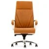 Zuri Furniture Forbes Modern Fully Reclining Adjustable Executive Chair Tan Top Grain Leather 1 Zuri Furniture Forbes Modern Fully Reclining Adjustable Executive Chair Tan Top Grain Leather -Boraam Industries Shop 09f17a35090b9135 8288 w800 h800 b1 p0