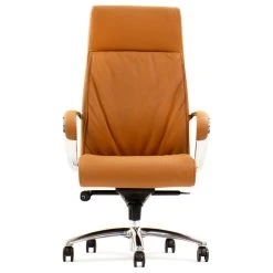 Zuri Furniture Forbes Modern Fully Reclining Adjustable Executive Chair Tan Top Grain Leather
