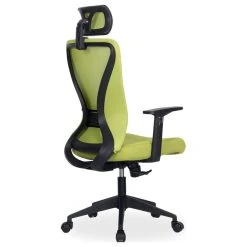 Vandue Corporation Xelo Testa Mid-Back Desk/Office Chair, Ergonomic, Mesh, Black/Lime Green