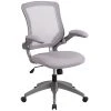BTNYC Mid-Back Mesh Swivel Task Chair With Frame And Flip-Up Arms, Gray -Boraam Industries Shop 1a919b550a0cb7a7 9405 w800 h800 b1 p0