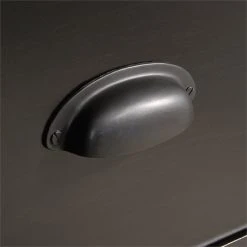 Sauder County Line Engineered Wood 2-Drawer Lateral File Cabinet In Estate Black 9 Sauder County Line Engineered Wood 2-Drawer Lateral File Cabinet In Estate Black -Boraam Industries Shop 2cd14d8c000bb79d 2858 w800 h800 b0 p0