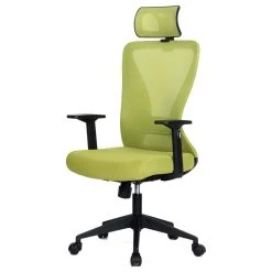 Vandue Corporation Xelo Testa Mid-Back Desk/Office Chair, Ergonomic, Mesh, Black/Lime Green -Boraam Industries Shop 5641434a0008ef1f 1030 w800 h800 b1 p0