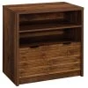 Decor Love Transitional Filing Cabinet, 2 Open Compartments & Lower Drawer, Grand Walnut 1 Decor Love Transitional Filing Cabinet, 2 Open Compartments & Lower Drawer, Grand Walnut -Boraam Industries Shop 70a1ed6701700816 1435 w800 h800 b1 p0