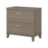 Bush Business Furniture Bush Furniture Somerset 2 Drawer File Cabinet In Ash Gray
