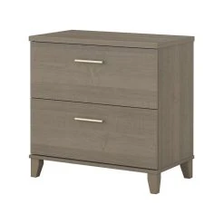 Bush Business Furniture Bush Furniture Somerset 2 Drawer File Cabinet In Ash Gray