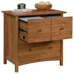Sauder Union Plain 2 Drawer Wooden Lateral File In Prairie Cherry -Boraam Industries Shop 7d91505e0215d9d7 6227 w800 h800 b1 p0