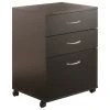 Nexera Essentials 3-Drawer Rolling Filing Cabinet With Black Finish 6092 -Boraam Industries Shop 9f416d59002fe416 5889 w800 h800 b1 p0