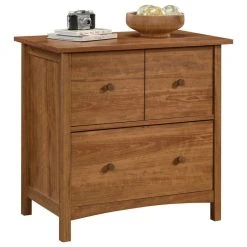 Sauder Union Plain 2 Drawer Wooden Lateral File In Prairie Cherry -Boraam Industries Shop a7a1bb970215d9d4 6227 w800 h800 b1 p0