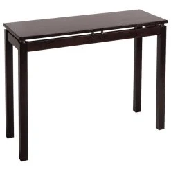 Winsome Linea Solid Wood Console/Sofa Table In Espresso