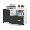 Tribesigns File Cabinet Modern Filing Cabinet White And Black