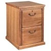 Bowery Hill 2 Drawer File Cabinet In Distressed Wheat