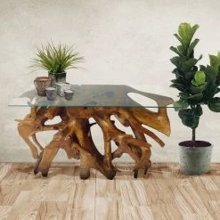 Chic Teak Inc. Teak Wood Root Console Table/Sofa Table With Glass Top, 48" 17 Chic Teak Inc. Teak Wood Root Console Table/Sofa Table With Glass Top, 48" -Boraam Industries Shop da11acfd0ca62065 7006 w800 h800 b0 p0