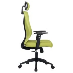 Vandue Corporation Xelo Testa Mid-Back Desk/Office Chair, Ergonomic, Mesh, Black/Lime Green -Boraam Industries Shop dbb148160008ef1e 1030 w800 h800 b1 p0