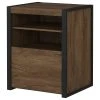 Bush Business Furniture Bush Furniture Latitude Printer Stand File Cabinet In Rustic Brown