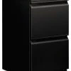 The HON Company Hon Efficiencies Mobile Pedestal File With 2 File Drawers, 19-7/8", Black -Boraam Industries Shop home design 144